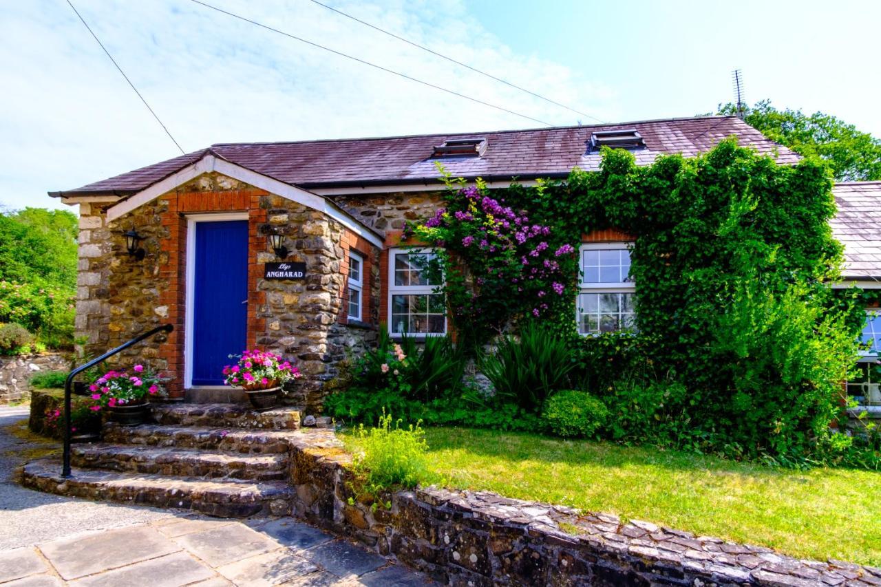 Lakeside Cottage Carmarthen Bagian luar foto