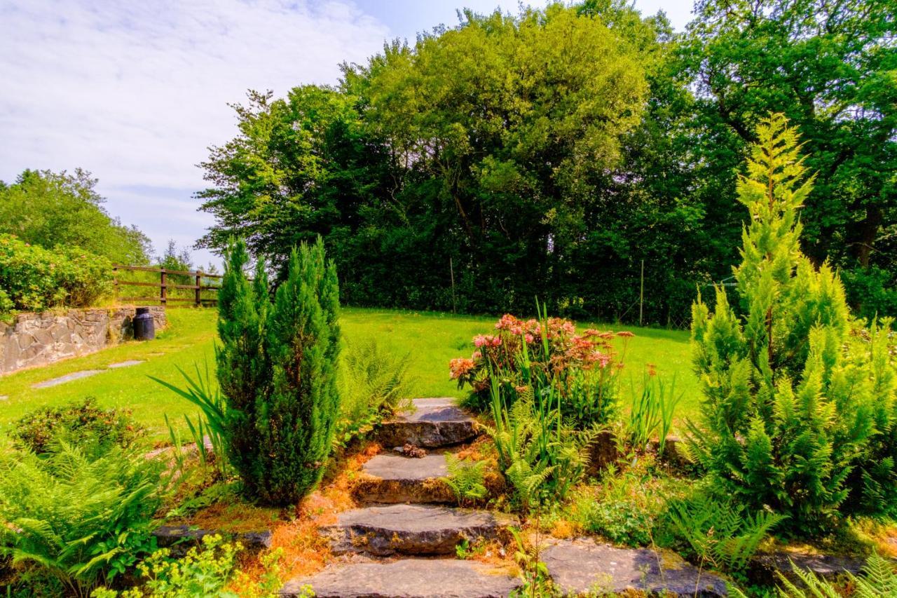 Lakeside Cottage Carmarthen Bagian luar foto