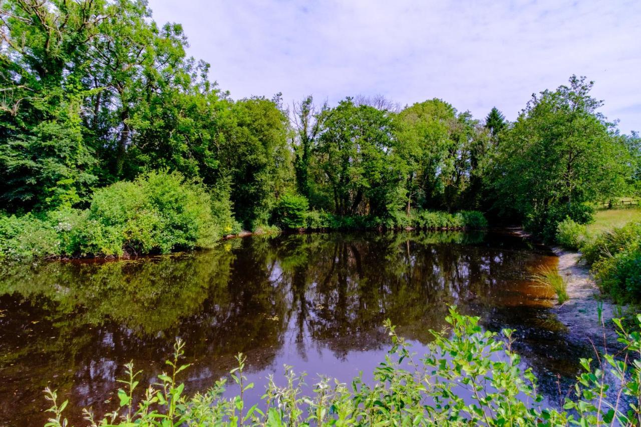 Lakeside Cottage Carmarthen Bagian luar foto